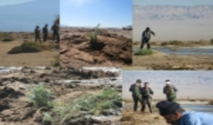 حضور فعال بسیج  در عرصه های منابع طبیعی به منظور احیاء مناطق بیابانی 