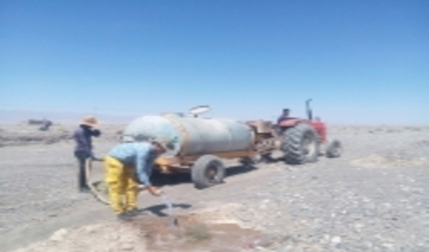 آبیاری پروژه تاغ کاری در منطقه دشت ابارق دارزین با مشارکت دهیاران و همت افراد بومی منطقه 