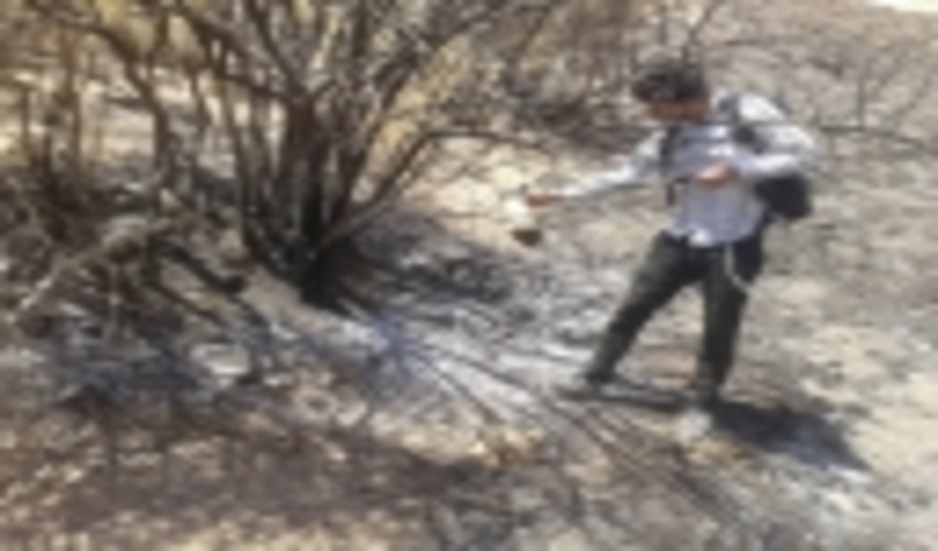 آتش سوزی در مراتع روستای شاهزاده محمد  شهرستان راور 