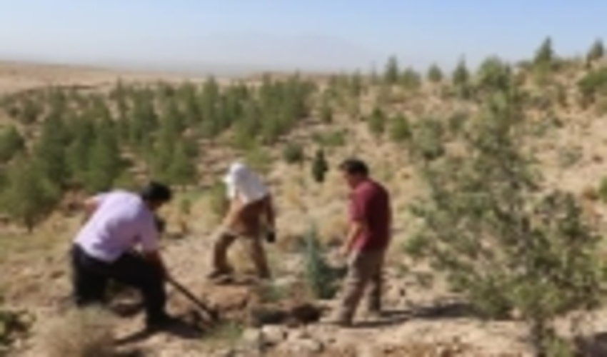 نقش منابع طبیعی و سازمانهای مردم نهاد در فراگیر شدن نهضت سبز 