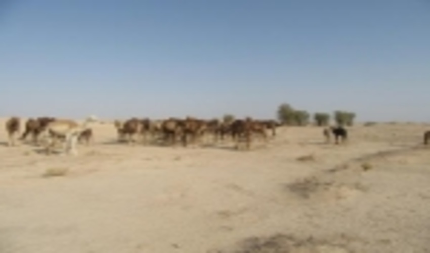 اخبار شهرستانهای فهرج و بردسیر