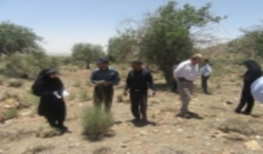 بازدید رئیس گروه گیاه پزشکی منابع طبیعی سازمان جنگلها، مراتع وآبخیزداری کشور از جنگلهای سیرجان