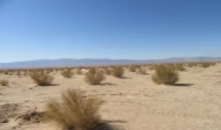 مشارکت مردم و هماهنگی بین ادارات و نهادهادرشهرستان زرند، تنها راهکار جهت مقابله با بیابان زائی هجوم شنهای روان