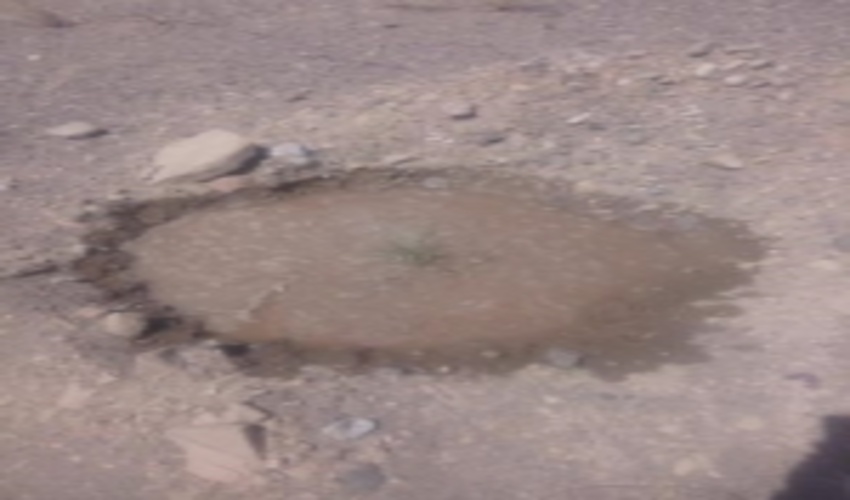 اجرای پروژه نهالکاری دشت دارزین – ابارق در سطح 70 هکتار از اراضی شهرستان بم