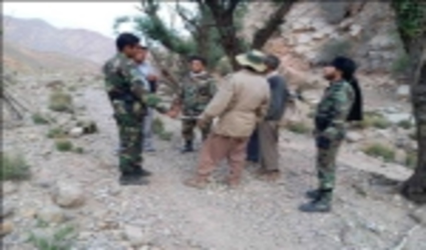برخورد قاطع یگان حفاظت منابع طبیعی استان با برداشت کنندگان غیر مجاز محصولات فرعی جنگل و مرتع