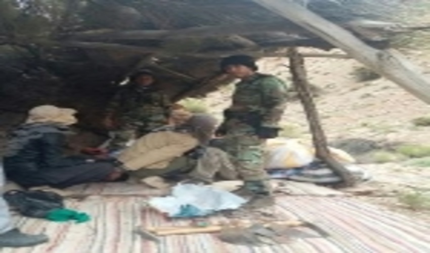 جلوگیری از برداشت غیر مجاز شیره آنغوزه