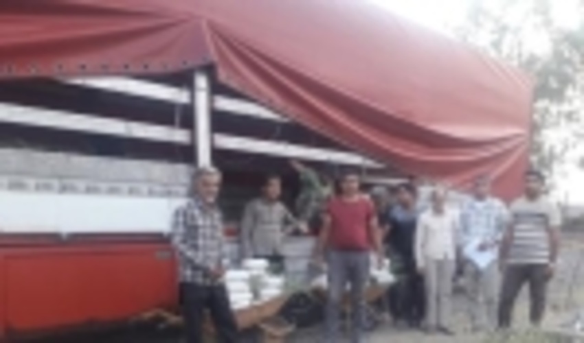 بارگیری و ارسال 30000 اصله نهال گز از اداره منابع طبیعی و آبخیزداری شهرستان بم  به استان سیستان و بلوچستان 