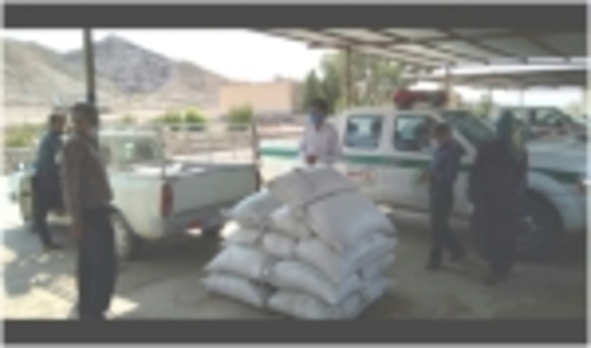 توزیع  جو رایگان بین مرتعداران شهرستان راور 