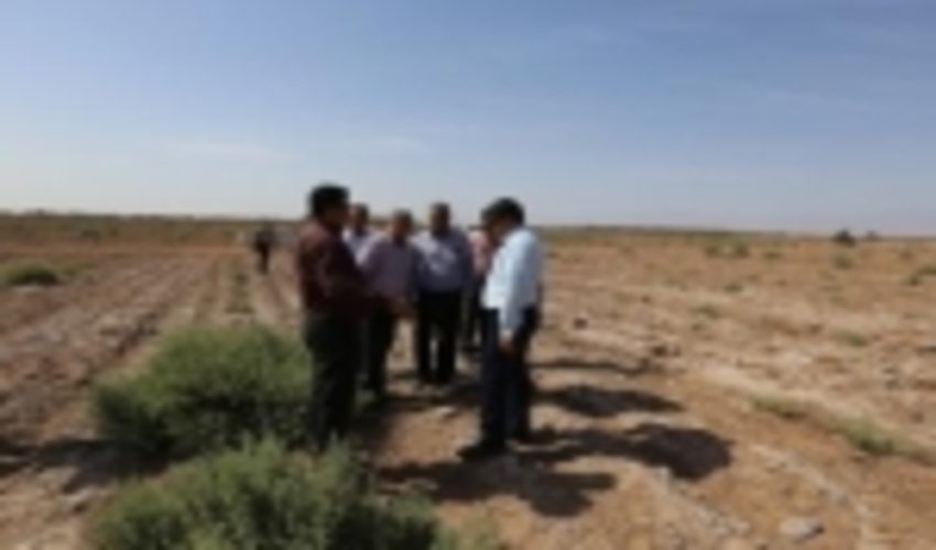  بازدید مدیر کل  منابع طبیعی و آبخیزداری استان کرمان از پروژه های موفق اجرا شده طرح ترسیب کربن در منطقه شهداد
