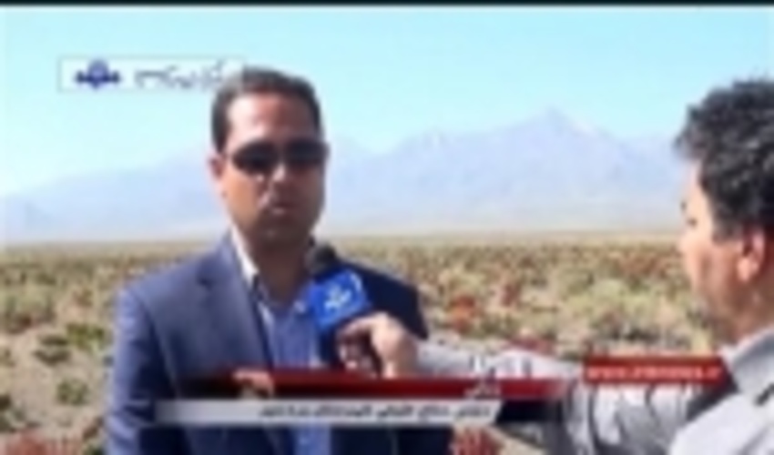 دشت  های وسیع ریواس در شهرستان بردسیر،  جذاب و اقتصادی 