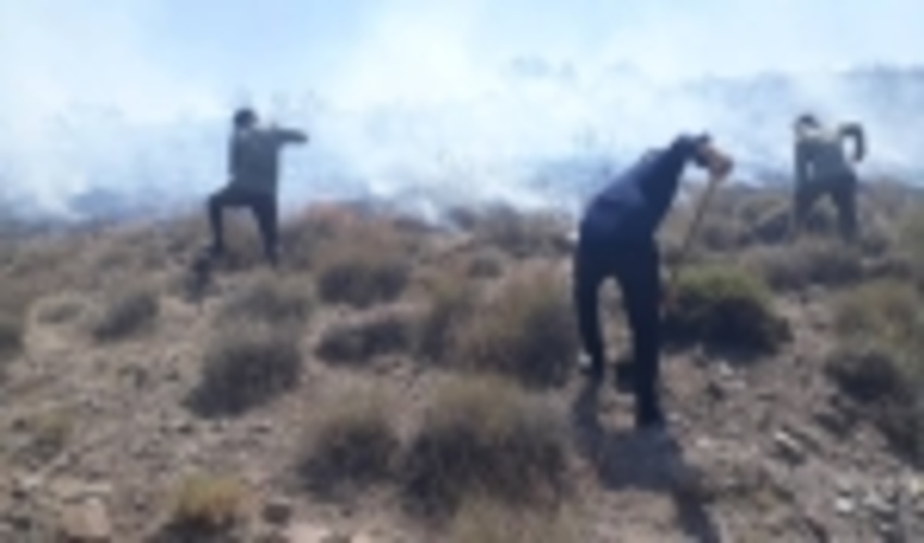 ۵۰ هکتار از اراضی منابع طبیعی گوغر بافت در آتش سوخت