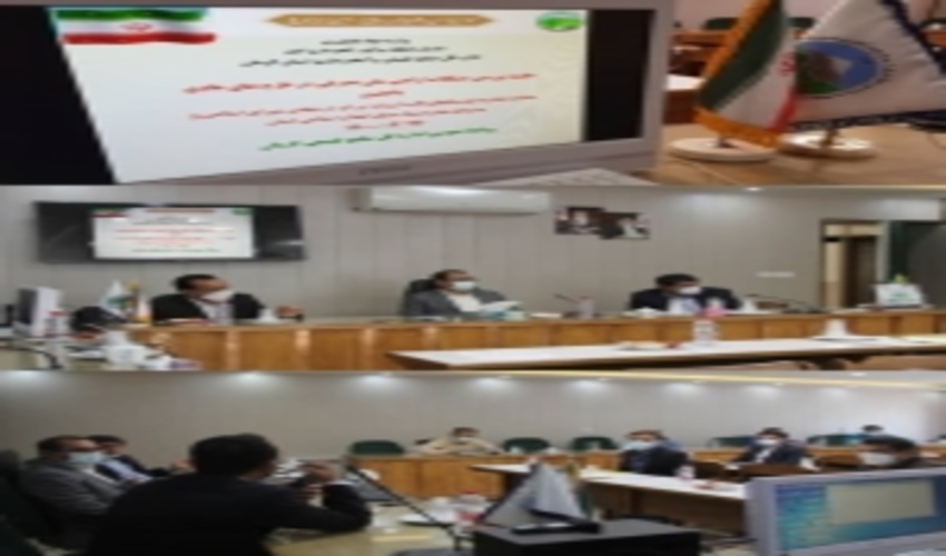 بررسی مشکلات اراضی ملی واقع در طرح های هادی مصوب شهرستانهای بافت،رابر و ارزوئیه