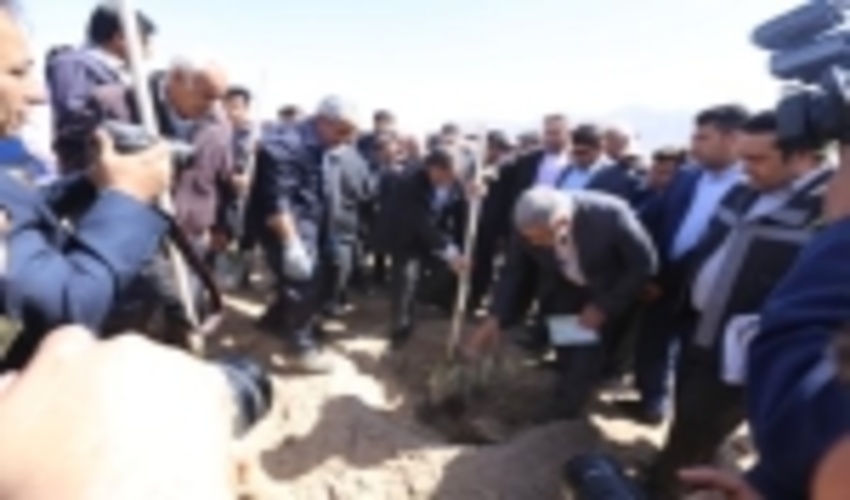 اجرایی شدن تفاهم نامه های منعقد شده با صنایع در سیرجان در هفته منابع طبیعی