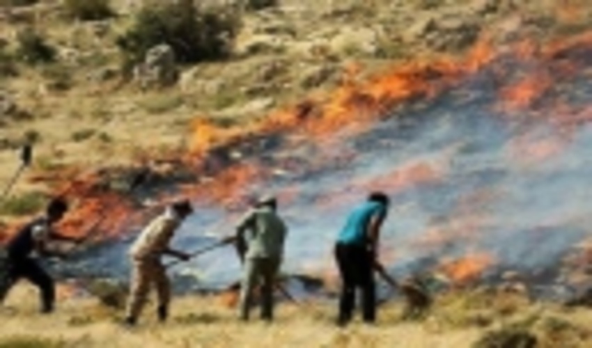 تشکیل گروه های مردمی و آموزش آنها به منظور مشارکت در امر اطفاء حریق درعرصه های منابع طبیعی شهرستان رفسنجان