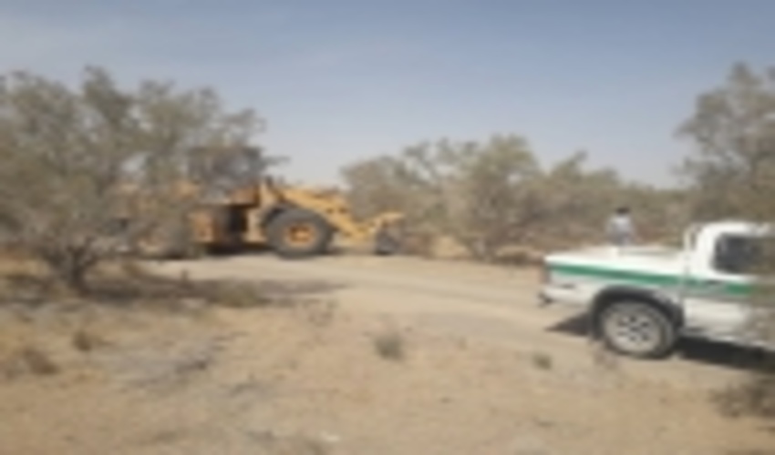 حفاظت از کمربند سبز سیرجان با همکاری شهرداری نجف شهر و منابع طبیعی شهرستان 