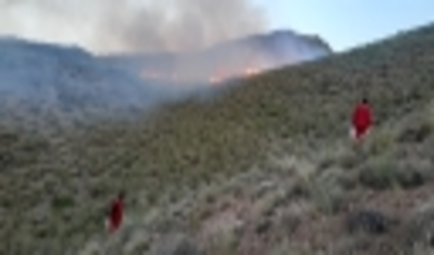 آتش سوزی در مراتع غیر مشجر روستای هویج شهرستان بردسیر 