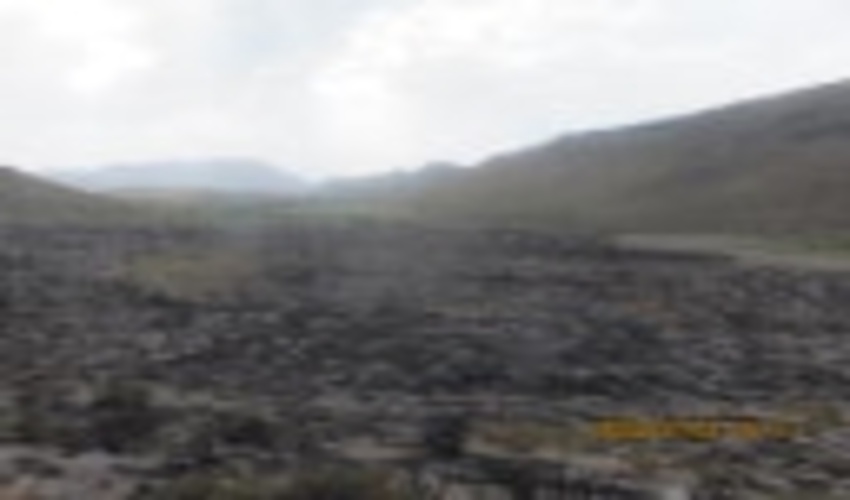 نابودی  چهار هکتار از اراضی مرتعی و جنگلی روستای باب گهر زرند در آتش سوزی 