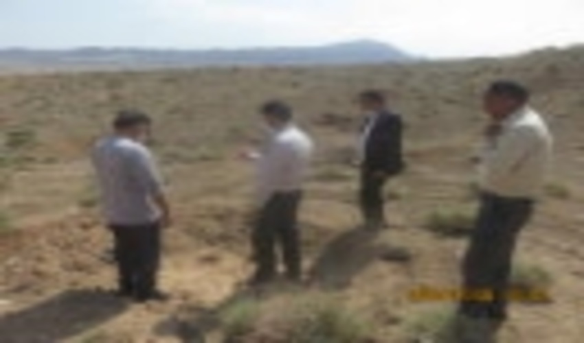 ارزیابی کیفی مثبت عملیات جنگلکاری در جوار قبور شهداء گمنام زرند در بازدید مسئول و کارشناس اداره جنگل 