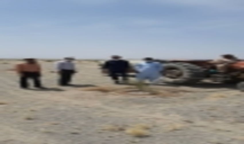 بازدید رئیس اداره بیابان از طرحهای جنگلکاری شهرستان ریگان 