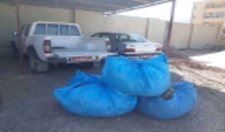 کشف و ضبط محموله گیاه دارویی آویشن در کوهبنان 
