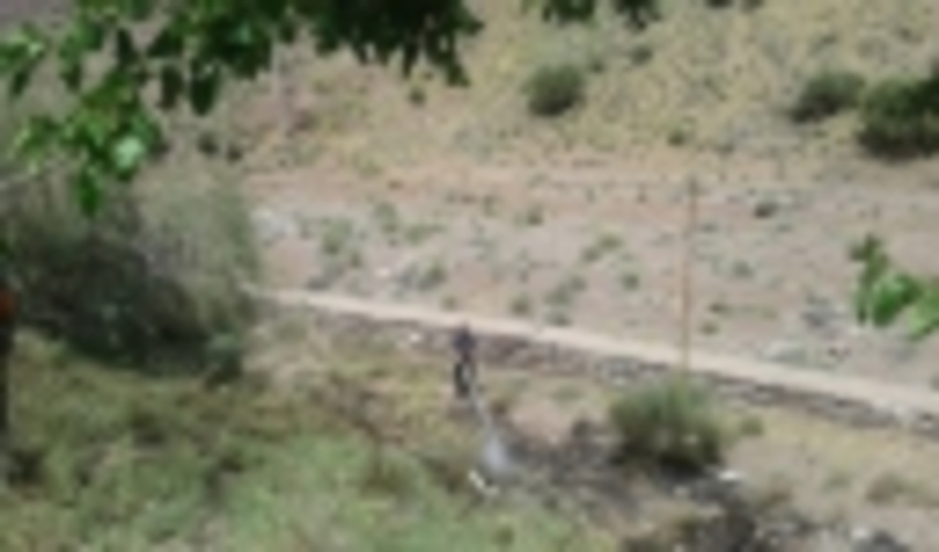 حریق در محدوده جنگل بادام کوهی گردنه خراسانی راور 