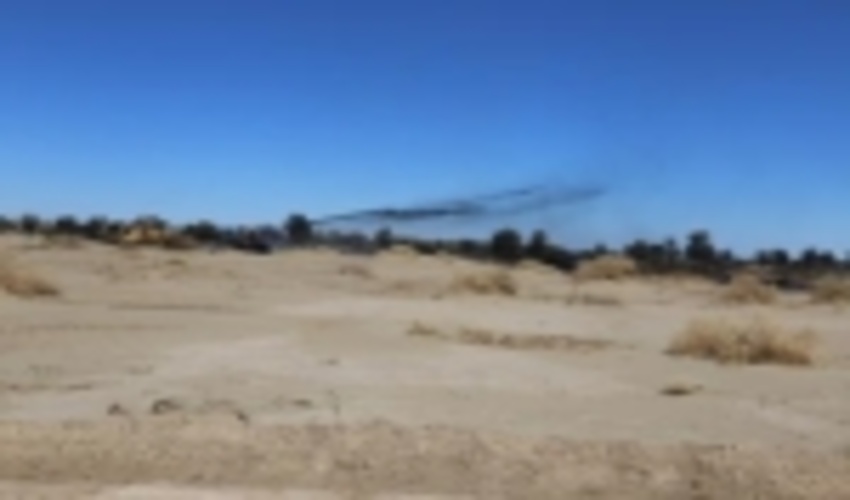 فراخوان سازمان جنگلها ، مراتع و آبخیزداری کشور برای جایگزینی مالچ 