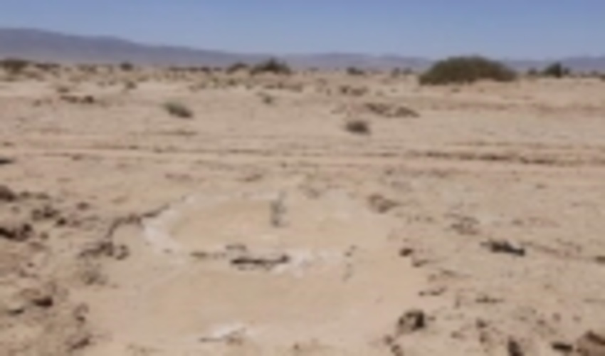 منابع طبیعی زرند ، پیشرو در بیابان زدایی و تثبیت مالکیت اراضی ملی 