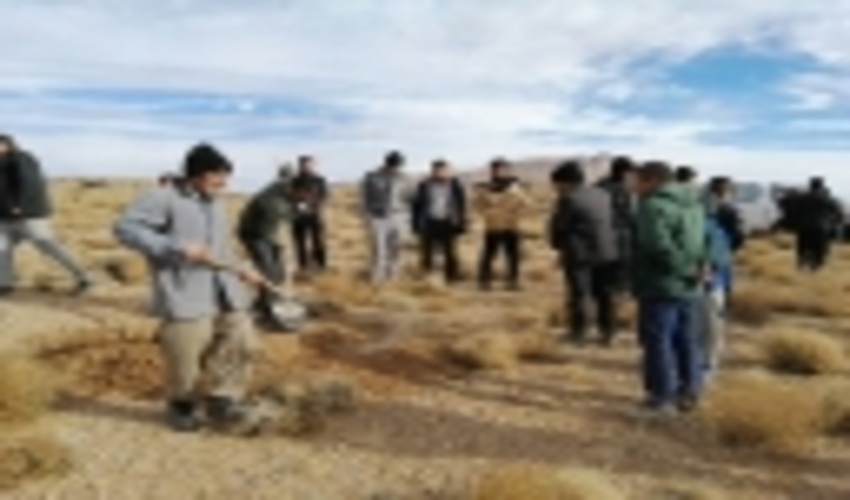 رئیس اداره منابع طبیعی و آبخیزداری زرند : موفقیت پروژه جنگلکاری سربنان و دشتخاک در سطح پنجاه هکتار 