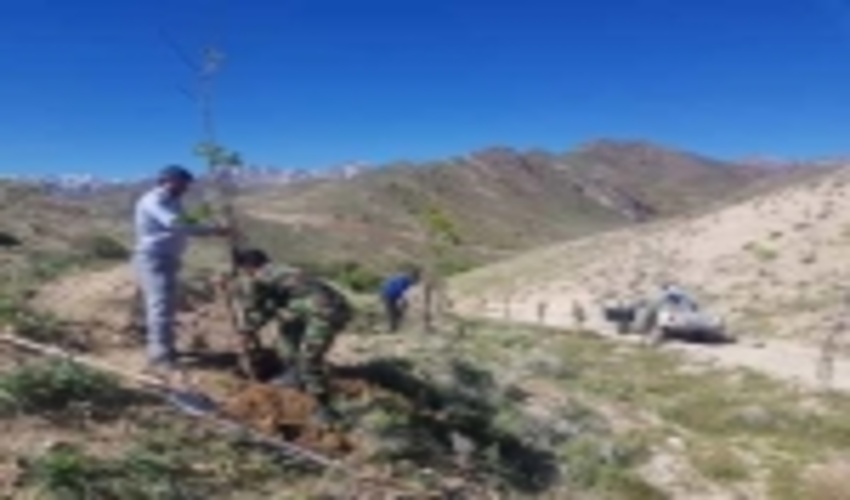 رفع تصرفات در دو منطقه شهرستان بردسیر  