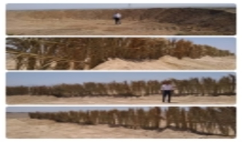 آغاز اجرای عملیات احداث باد شکن غیر زنده در حاشیه جاده مواصلاتی انار-یزد 