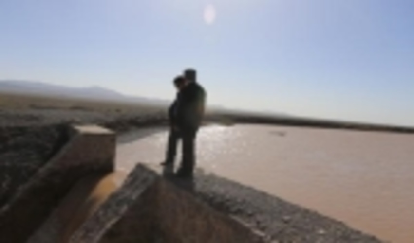 بازدید مدیر کل از پروژه های آبخیزداری و جنگلکاری   شهرستان بم 