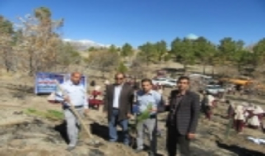 برگزاری مراسم روز درختکاری در شهرستان رابر