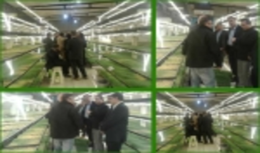 بازدید مهندس بهزاد مدیر کل دفتر امور مراتع  سازمان جنگلها ، مراتع و آبخیزداری کشور از پروژه تولید علوفه درشهرستان سیرجان