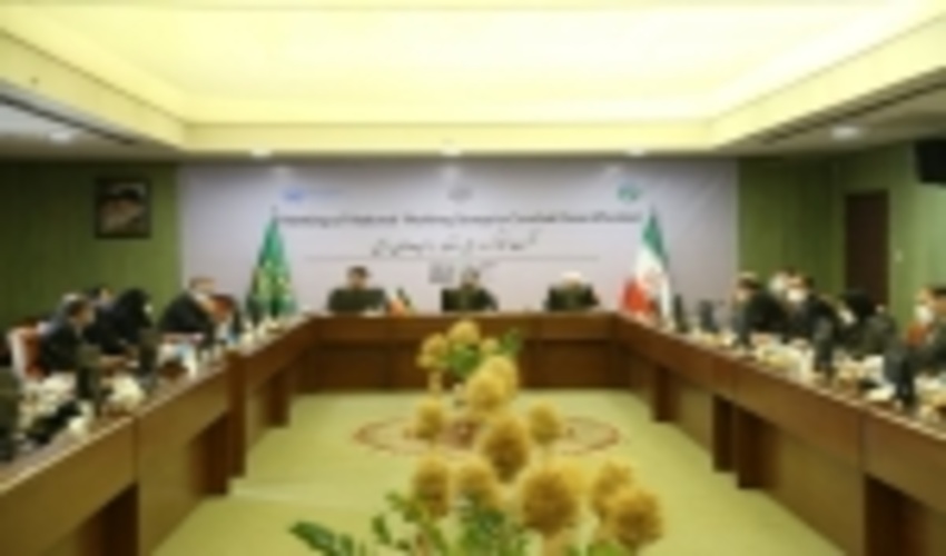 رییس سازمان جنگل ها در نخستین نشست کارگروه ملی مقابله با بیابان زایی