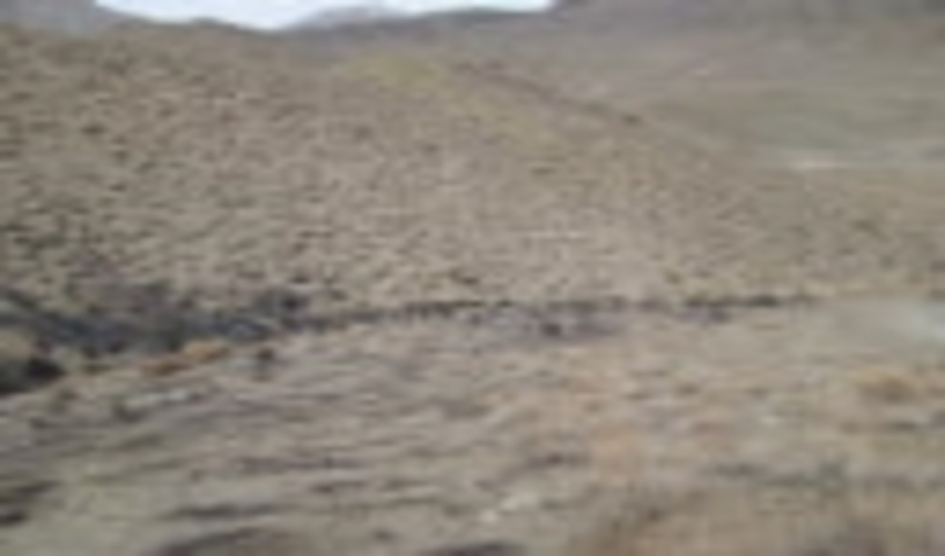 وقوع آتش سوزی در مراتع چناروئیه خانوک زرند و کمک بموقع کارگران معدن منطقه در اطفاء آن 