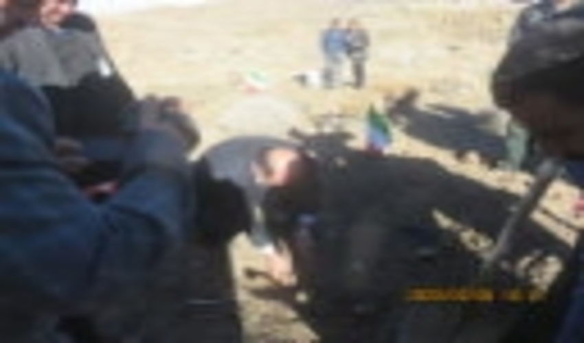 اجرای طرح جنگلانه به مناسبت ایام ا.. دهه فجر در زرند 