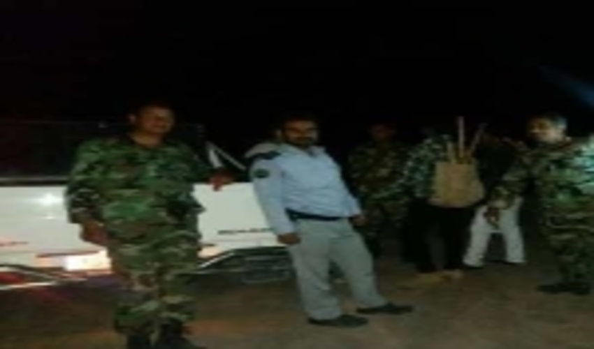 دستگیری  برداشت کنندگان غیر مجاز گیاهان دارویی در شهرستان کرمان