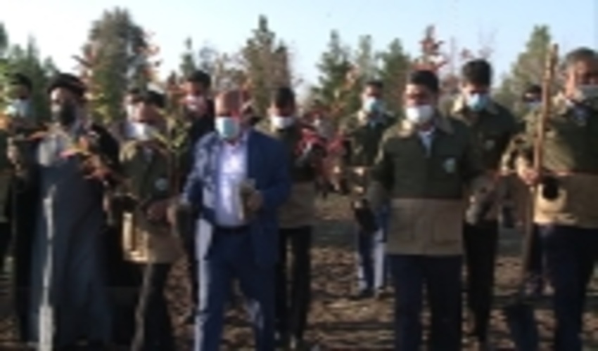 کاشت درخت در فرستنده رادیویی صداو سیمای کرمان