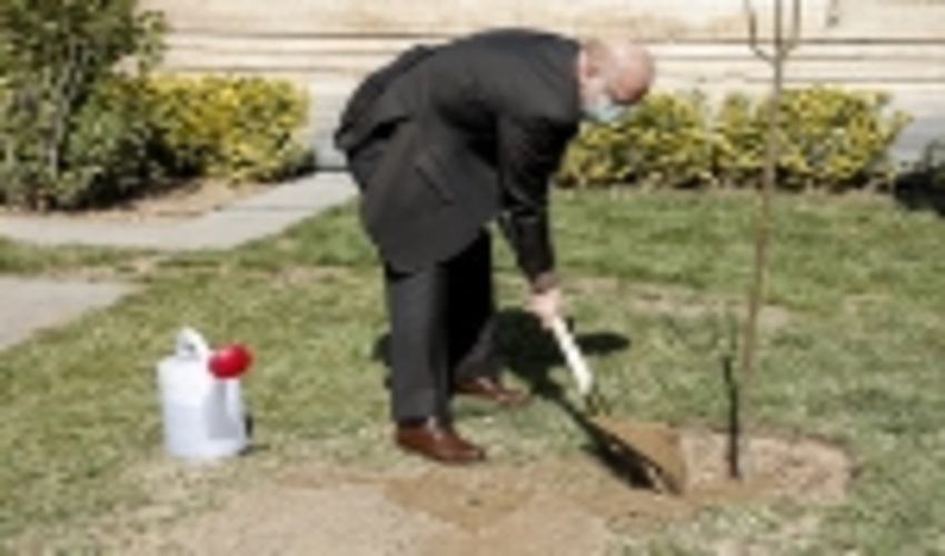 رئیس مجلس: حفظ محیط زیست وظیفه عمومی و قانونی است