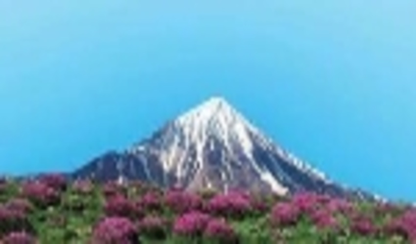 فراخوان مسابقه نقاشی « طبیعت سرزمین من »