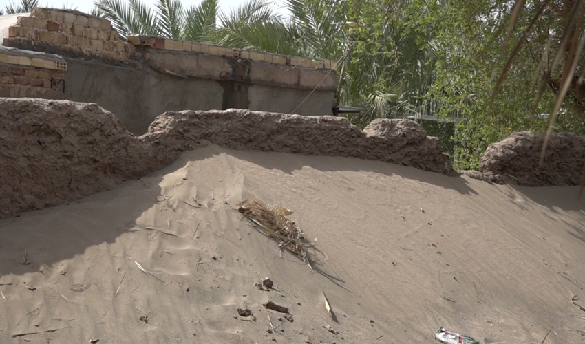 برگزاری کارگاه آموزشی و بازدید میدانی مقابله با بیان زایی در شرق کرمان