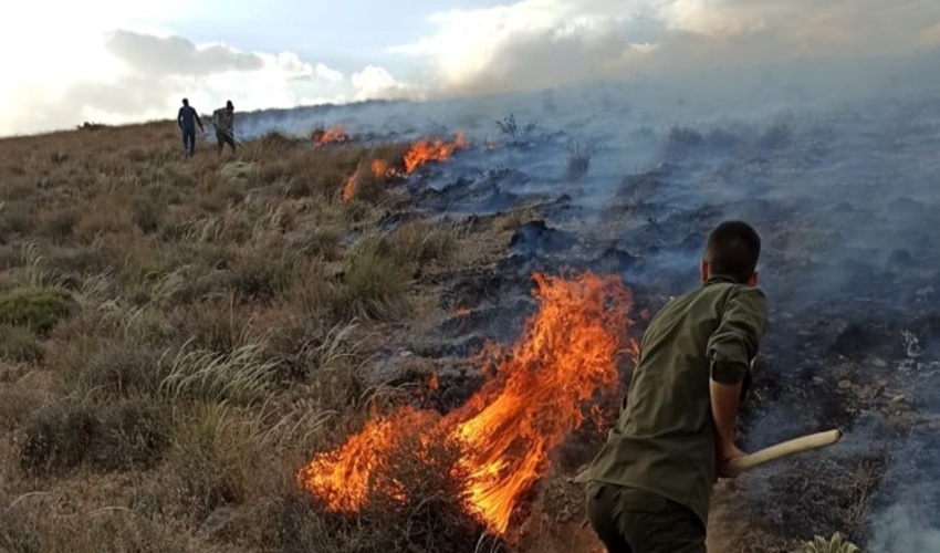 حریق 6 هکتار از مراتع چهارگنبد سیرجان را نابود کرد