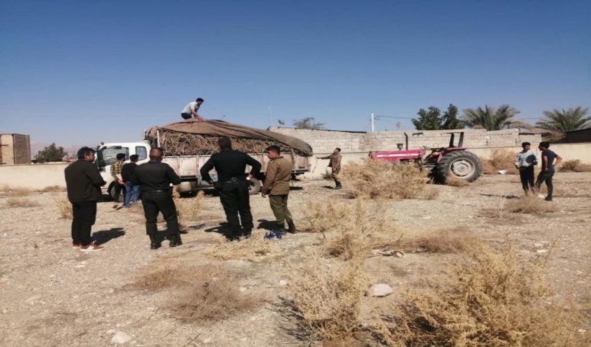 کشف و ضبط 3 تن ریشه ی شیرین بیان در شهرستان ارزوئیه