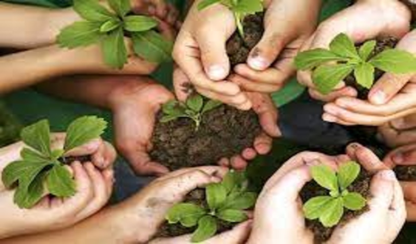 آغاز هفدهمین طرح  کودکان دوستان طبیعت