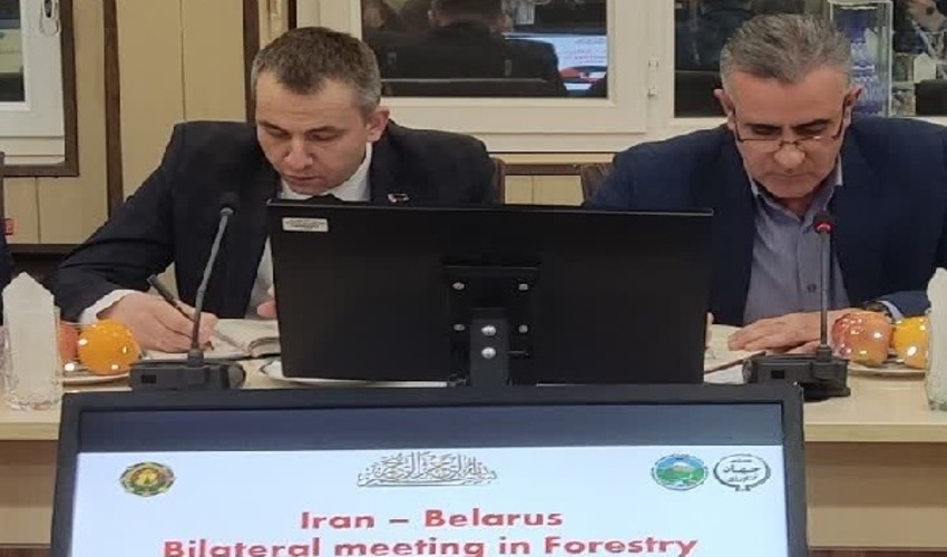 99درصد جنگل‌های بلاروس با دوربین پایش می‌شود/تحریم‌ها هیچ‌گونه تاثیر منفی بر حفاظت از منابع طبیعی ما نگذاشته است