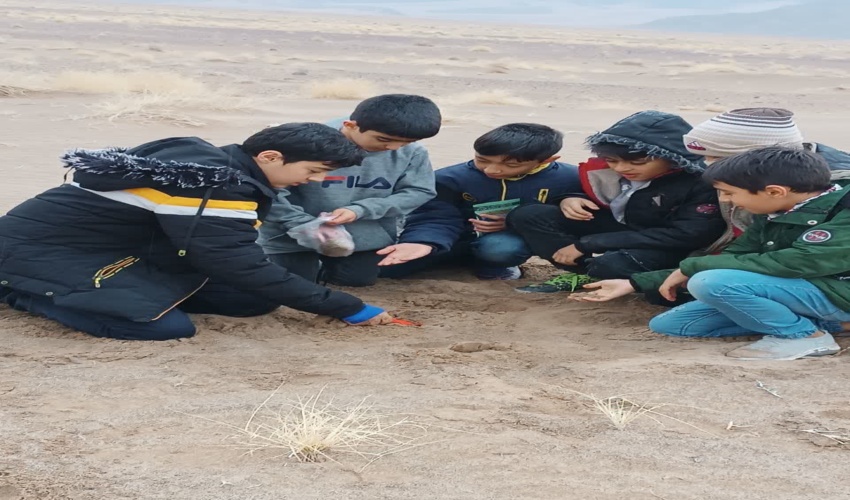 پویش نذر سبز مادری در شهرستان رفسنجان