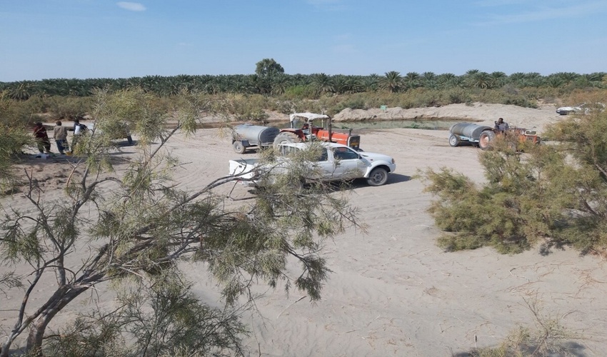 ۲۰۰۰ هکتار مالچ پاشی در شرق کرمان انجام می شود