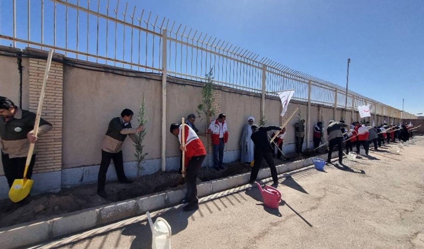 صدسالگی هلال احمر و کاشت ۶ هزار و ۵۰۰ نهال در کرمان