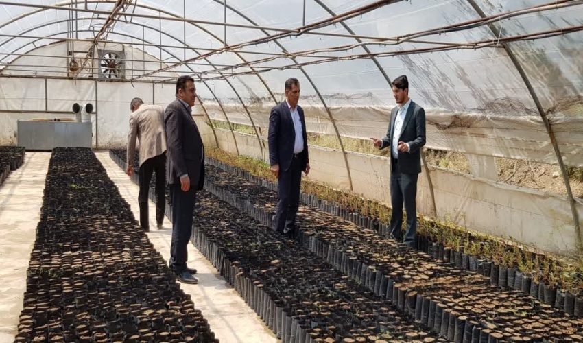 تولید بیش از 4 میلیون نهال در ایستگاه تولید بذر و نهال جاده جوپار