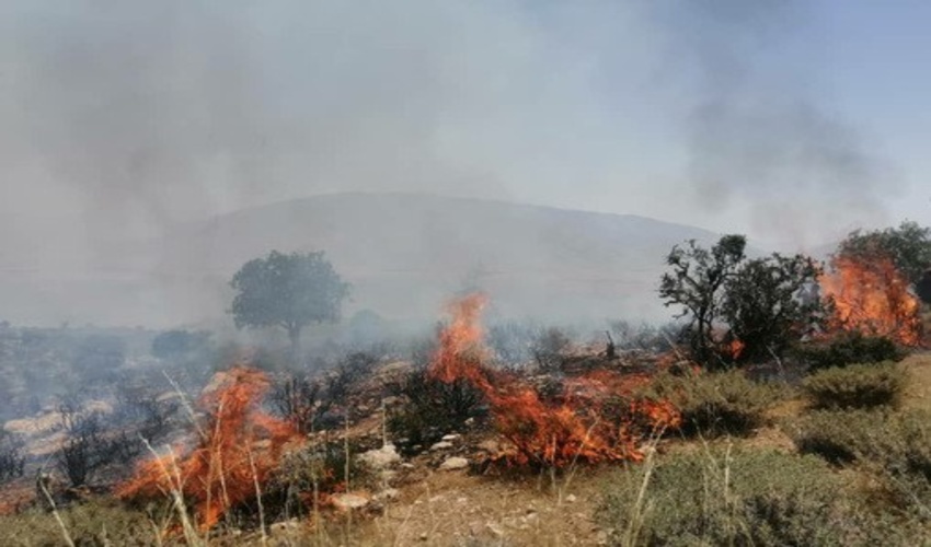 برگزاری دوره آموزشی اطفاء حریق با حضور بهره برداران و همیاران طبیعت شهرستان ارزوئیه 